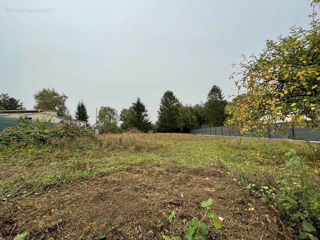 Terrain à LESDINS