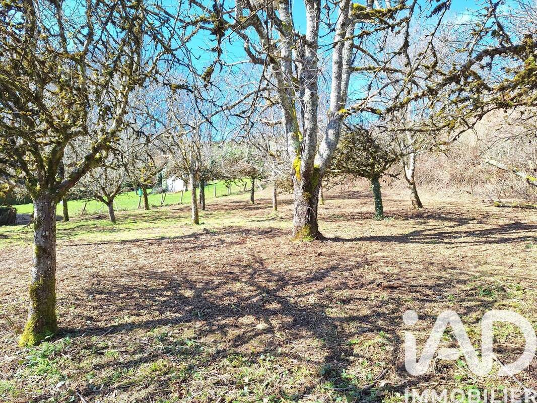 Photo 1 - Terrain à CRANDELLES