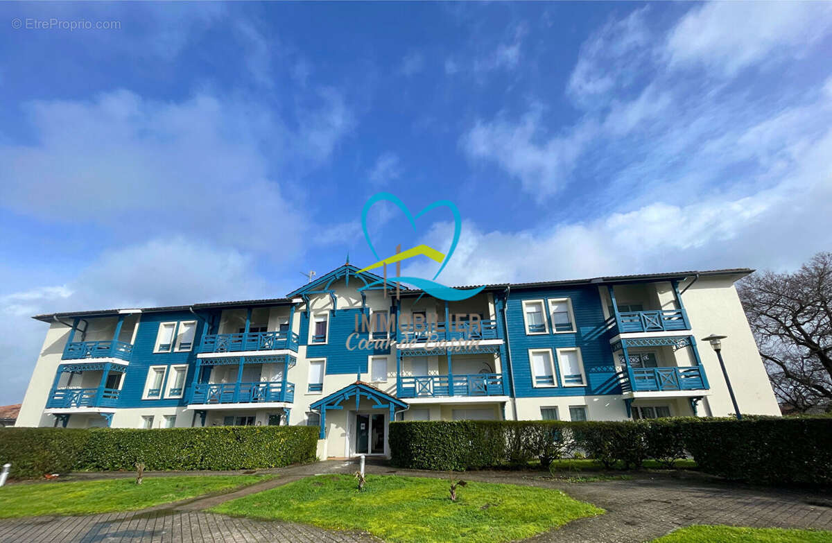 Appartement à AUDENGE