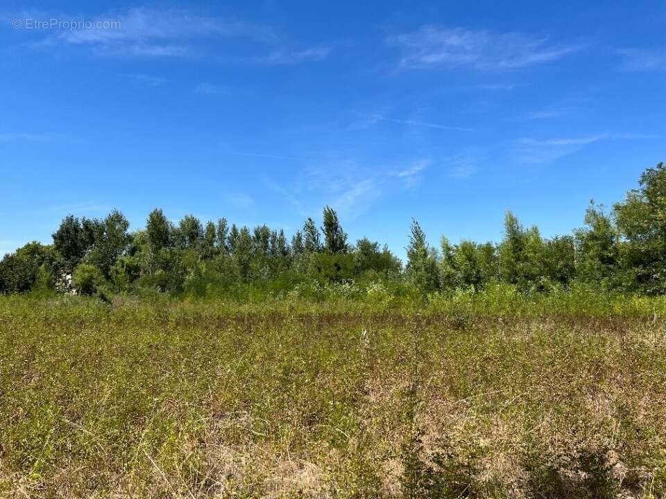 Terrain à CASTELNAUDARY