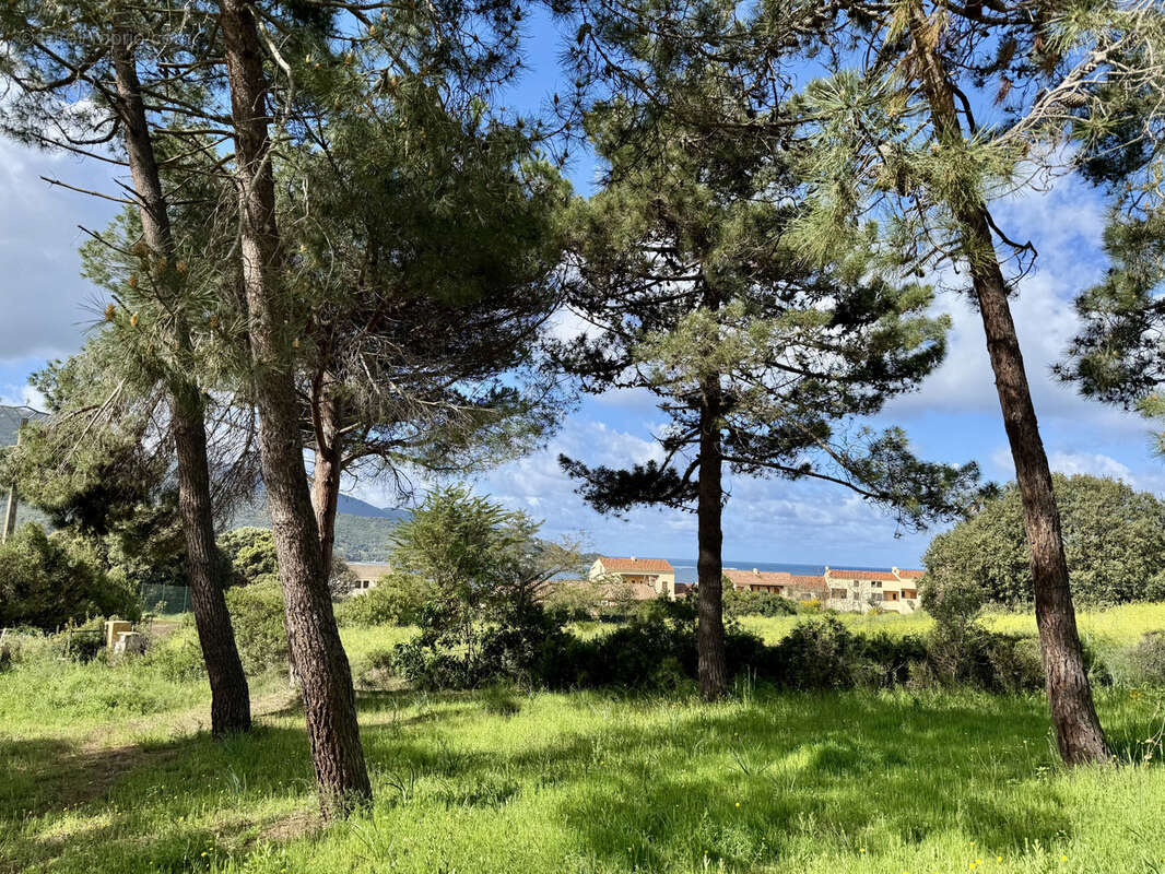 Terrain à CALCATOGGIO
