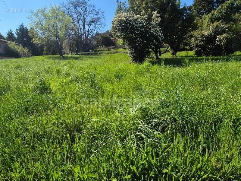Terrain à VEZENOBRES