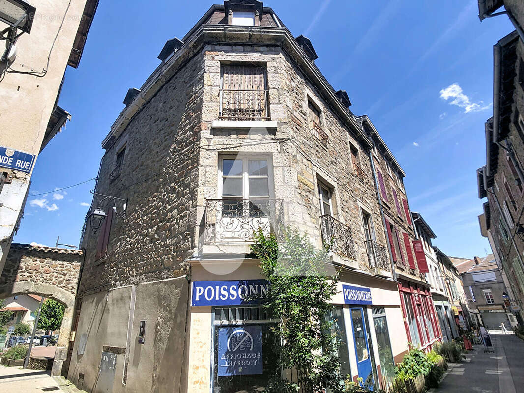 Immeuble Saint Symphorien Sur Coise 4 pièce(s) 225 m² - photo 8