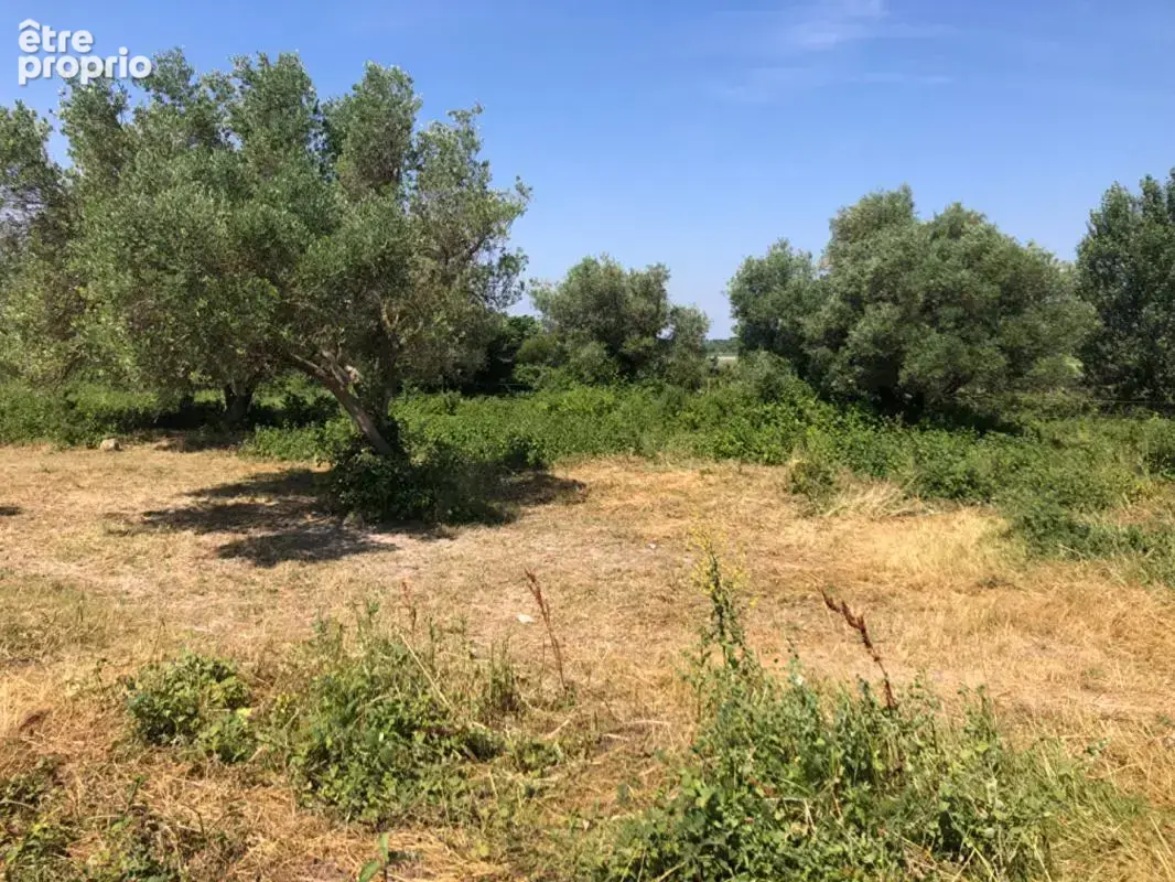 Terrain à SAINT-HILAIRE-D'OZILHAN