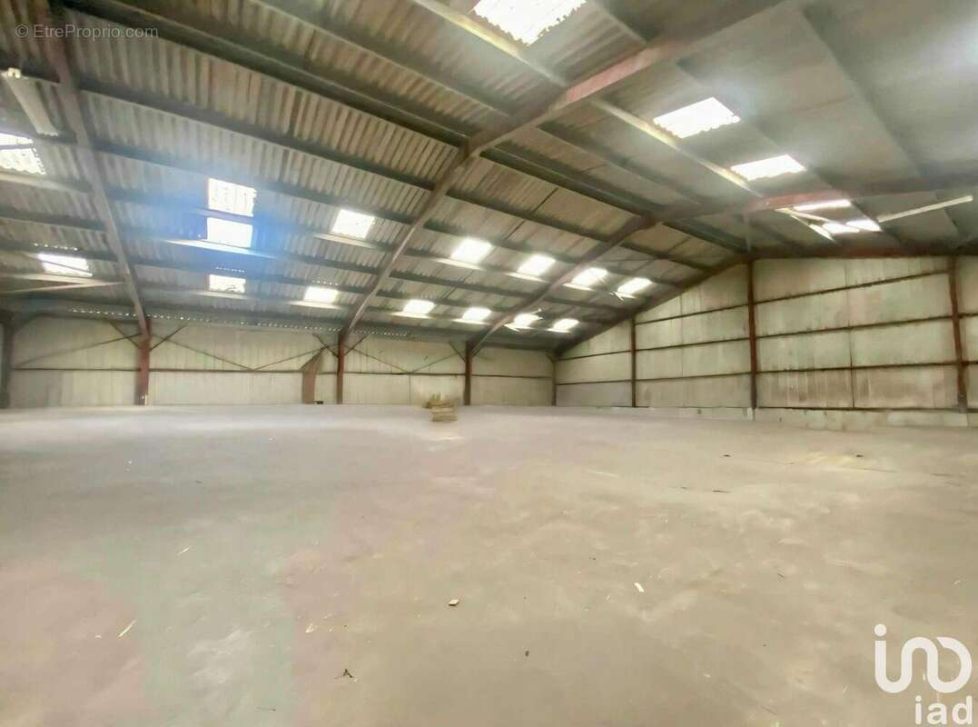 Photo 8 - Commerce à NERAC