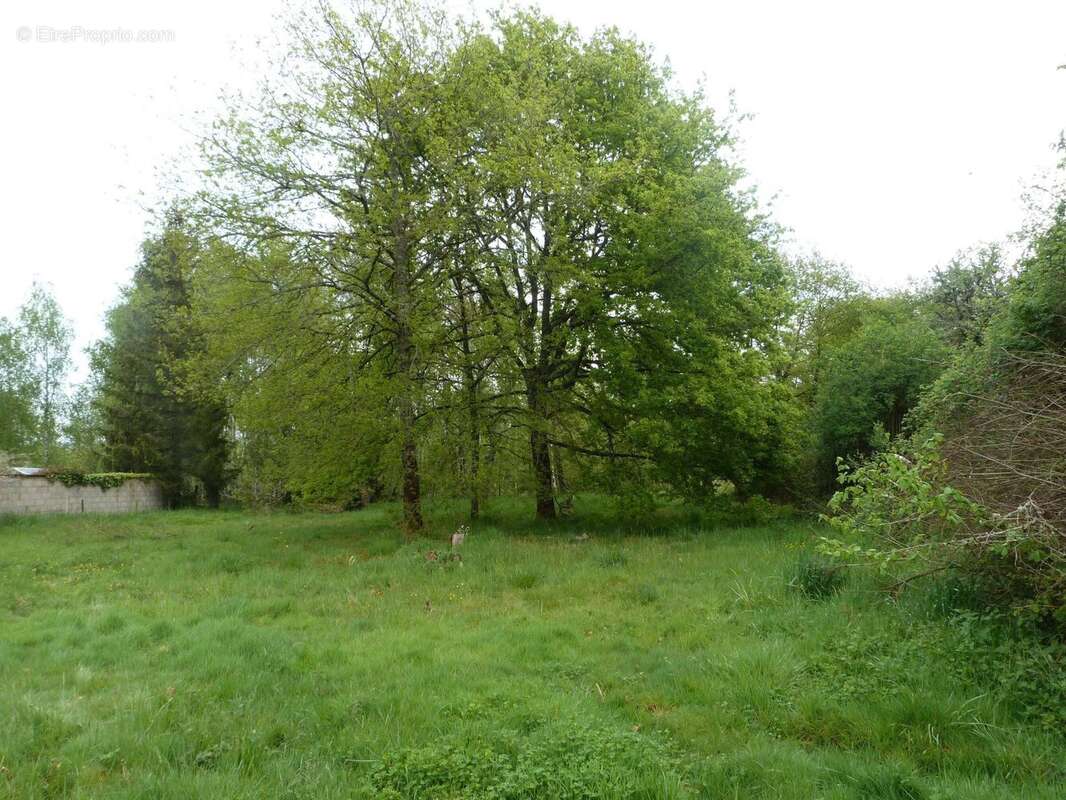 Terrain à THEILLAY
