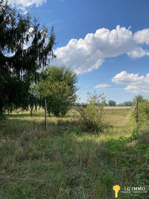 Terrain à BOIS