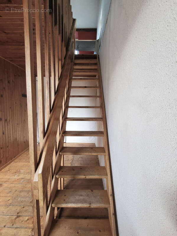 Appartement à SCHILTIGHEIM