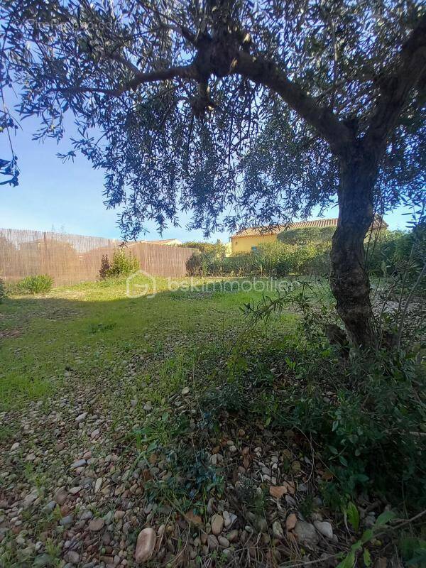 Terrain à CLERMONT-L&#039;HERAULT