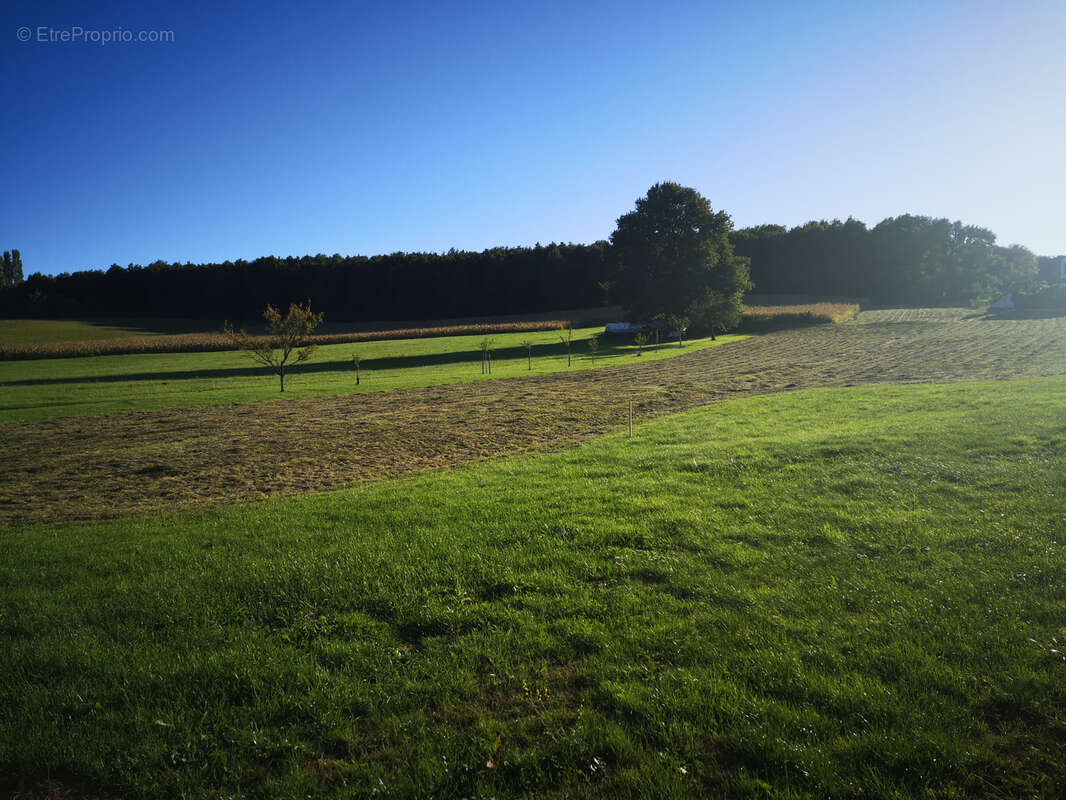 Terrain à LOBSANN