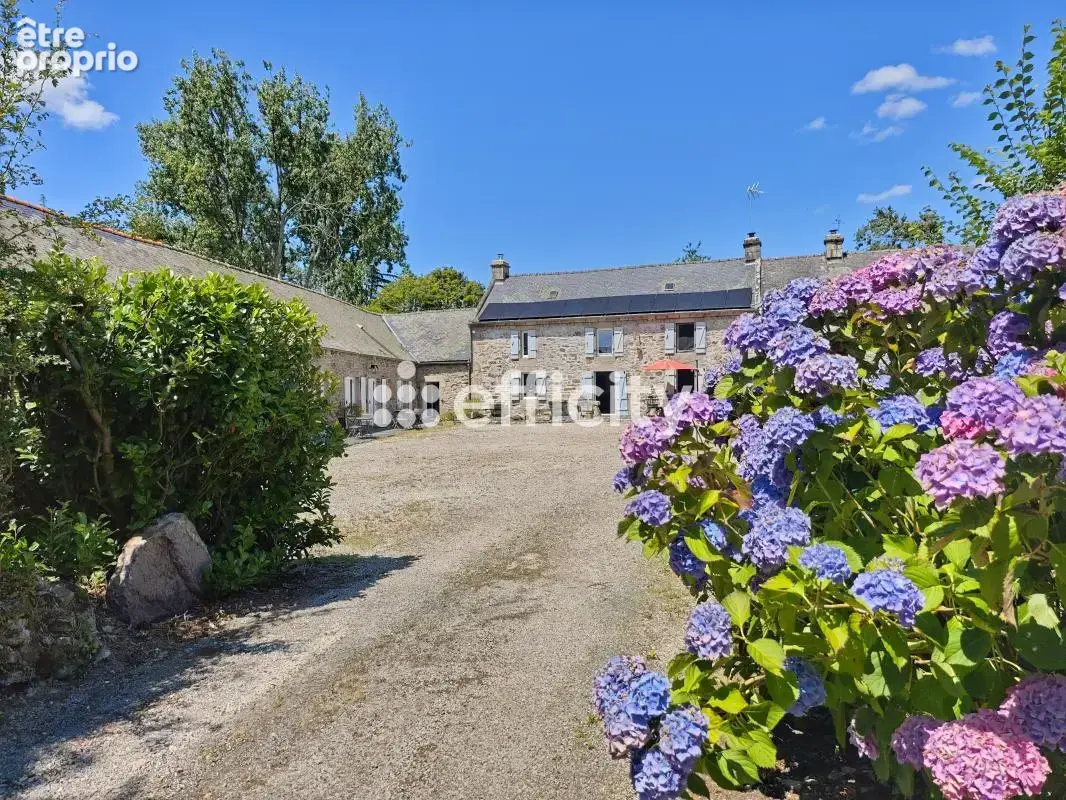 Propriété - photo 21
