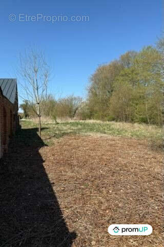 Terrain à BUIRE-COURCELLES