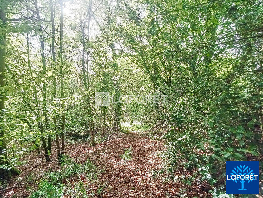 Terrain à PEAULE