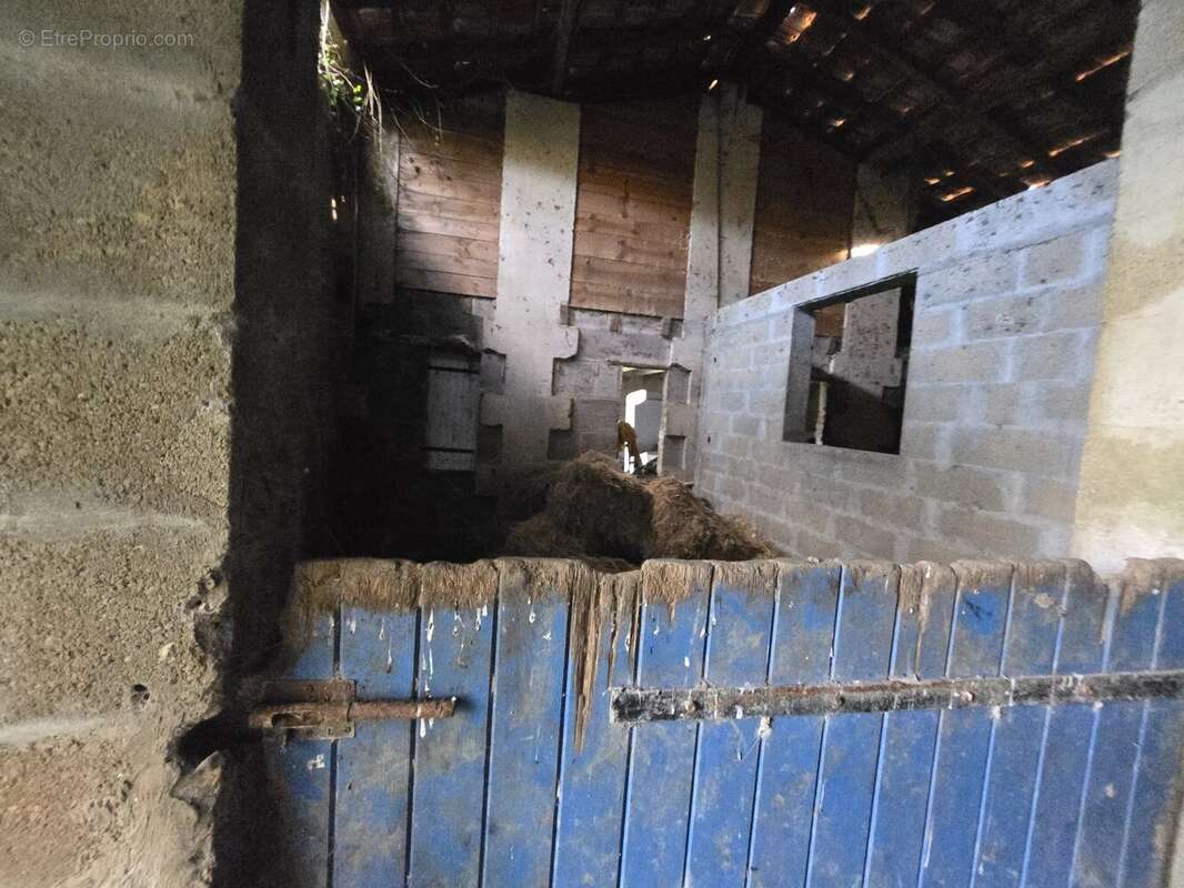 Maison à SAINT-MARTIN-LACAUSSADE