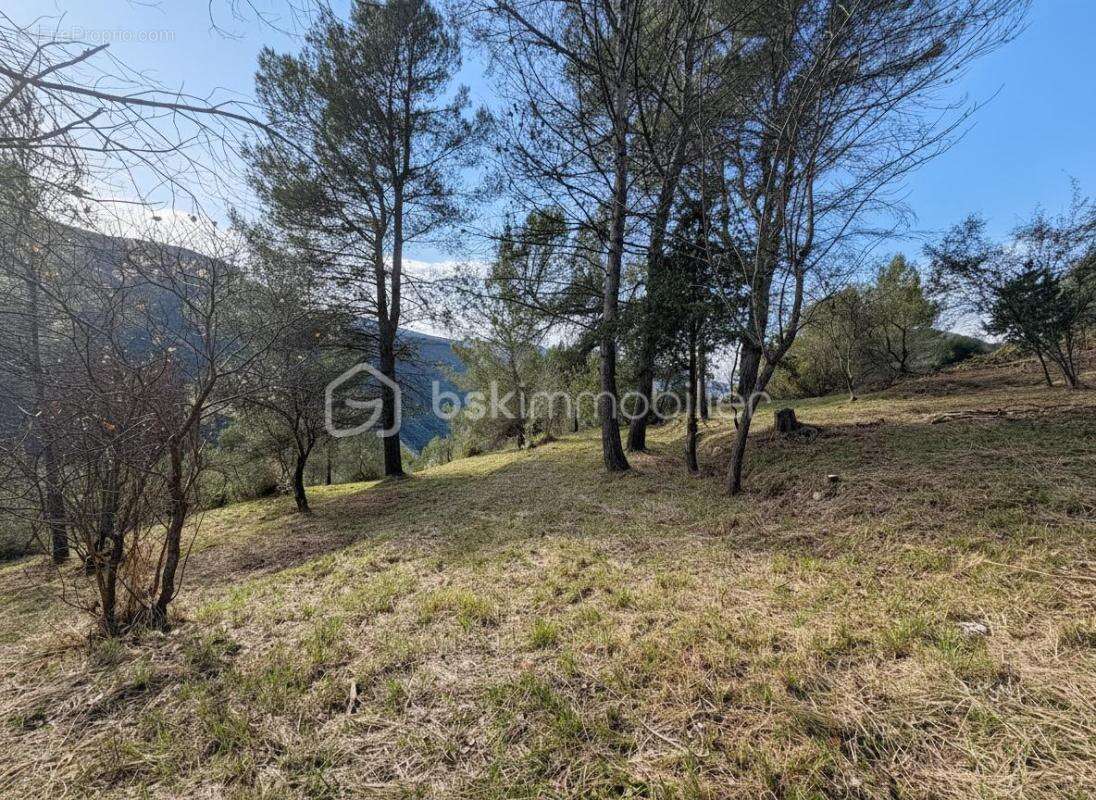 Rare à Pierrefeu : 3 046 m² de nature dont 1 084 m² constructibles, accès direct et étude de sol déjà réalisée - photo 9