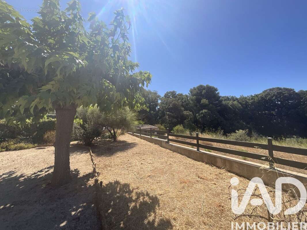 Photo 3 - Maison à SIX-FOURS-LES-PLAGES