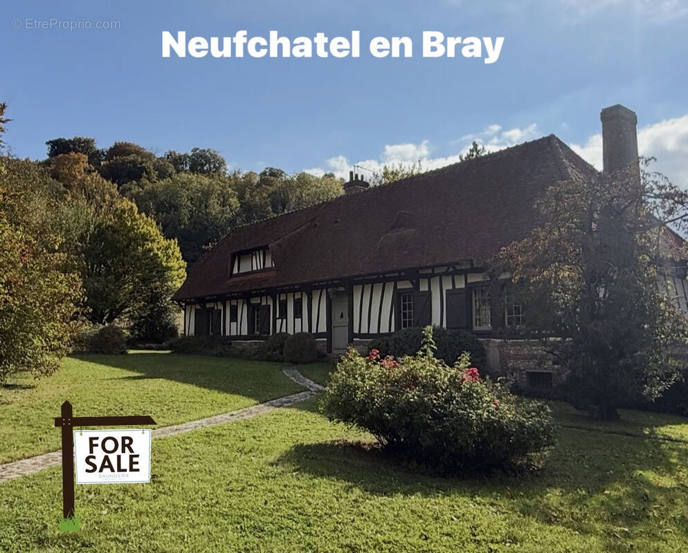 Opportunite neufchatel en bray  environnement privilegie - photo 1