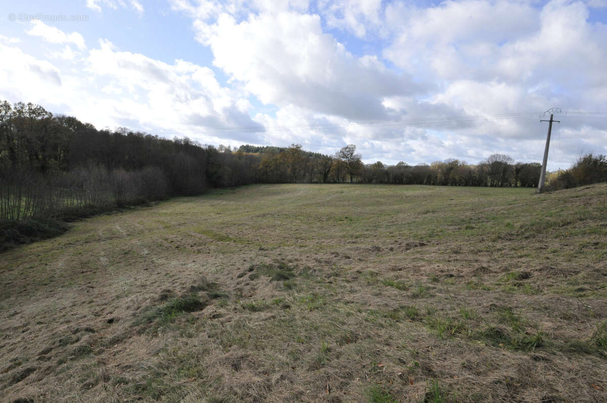 Terrain à VICQ-SUR-BREUILH