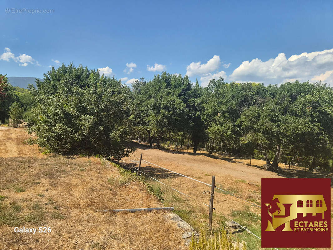 Fayence (83) Propriété équestre de charme. Coup de coeur ! - photo 8