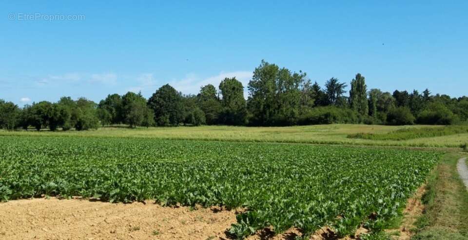 Terrain à BOULLAY-LES-TROUX