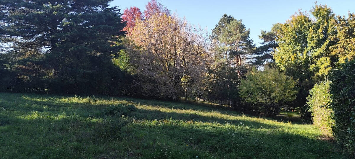 Terrain à FONTCOUVERTE