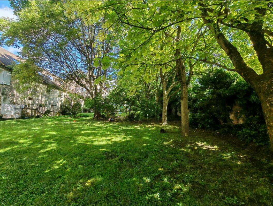 Appartement - photo 6