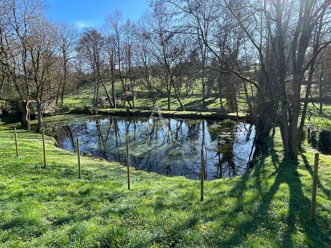 Terrain à THORIGNY