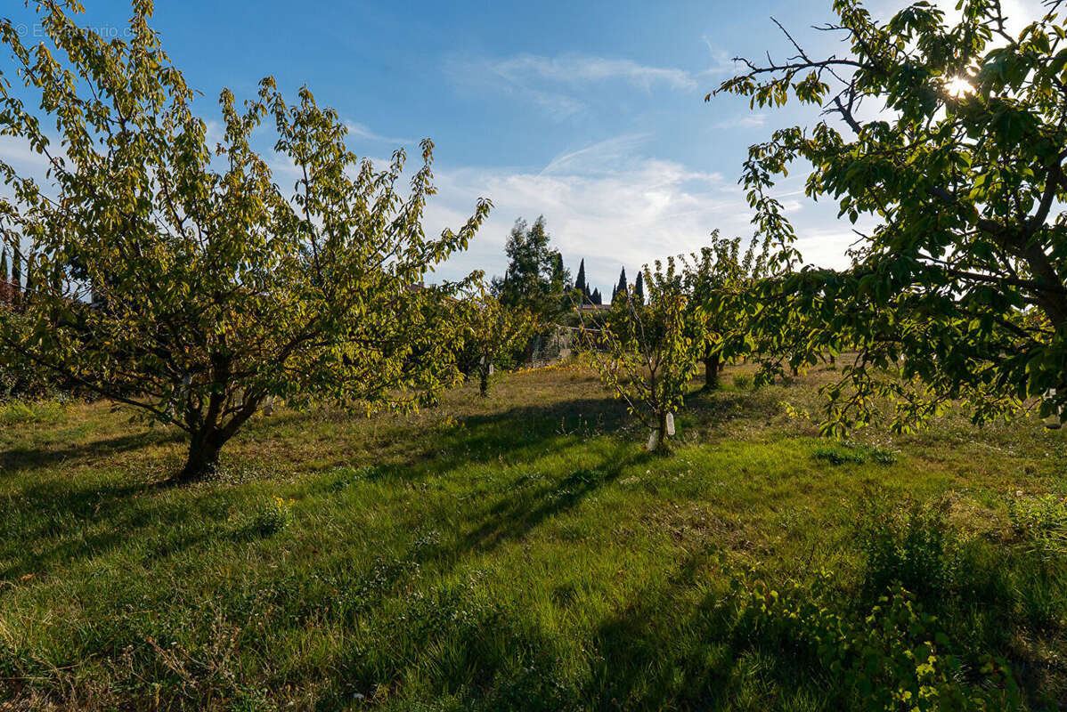 Terrain à CARCASSONNE