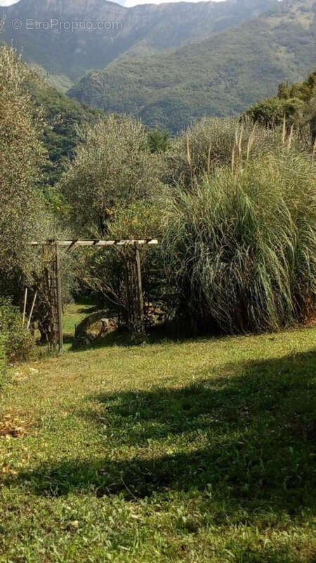 Maison à BREIL-SUR-ROYA