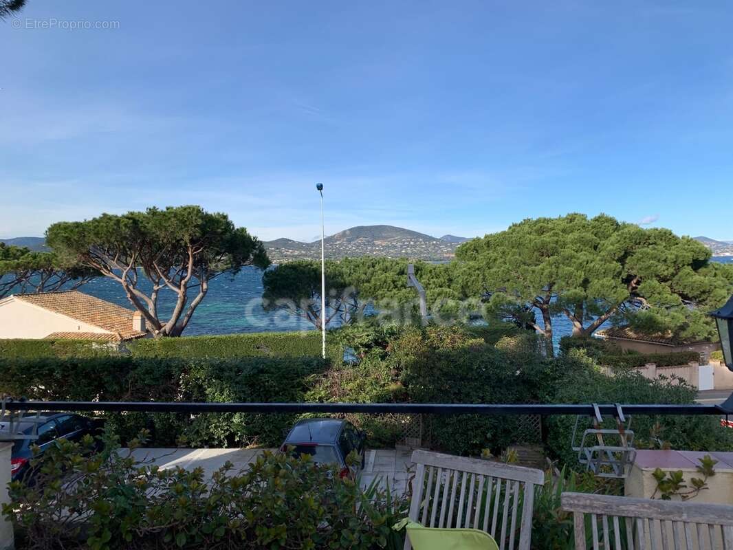 Var(83) Vente-Gassin-Golfe de Saint Tropez-BASTIDE et MAISON sur Terrain 2 117 m², 2 piscines-Bord de mer - photo 7