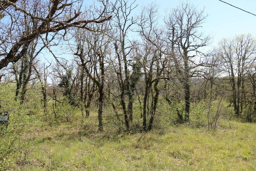 Terrain à LA DORNAC