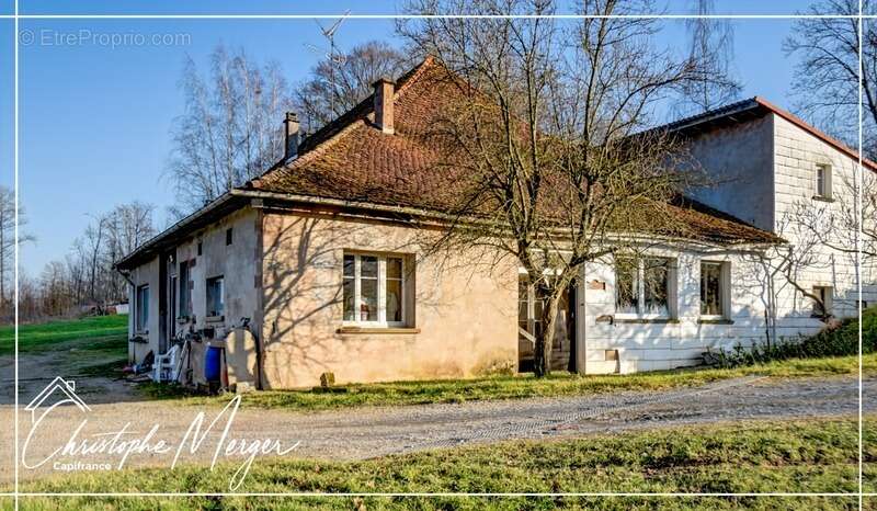 Maison à PHALSBOURG