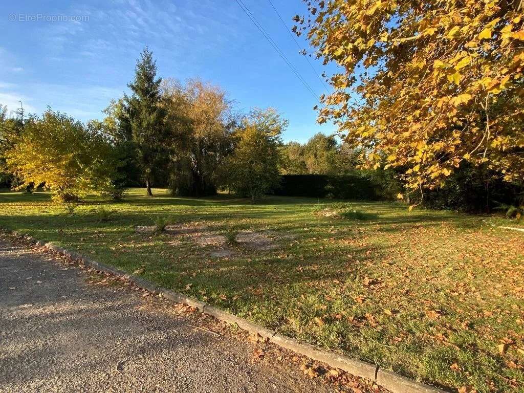 Terrain à SAINT-CHRISTOLY-DE-BLAYE