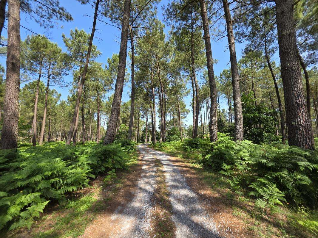 Maison 630 m² à Biscarrosse  - photo 49