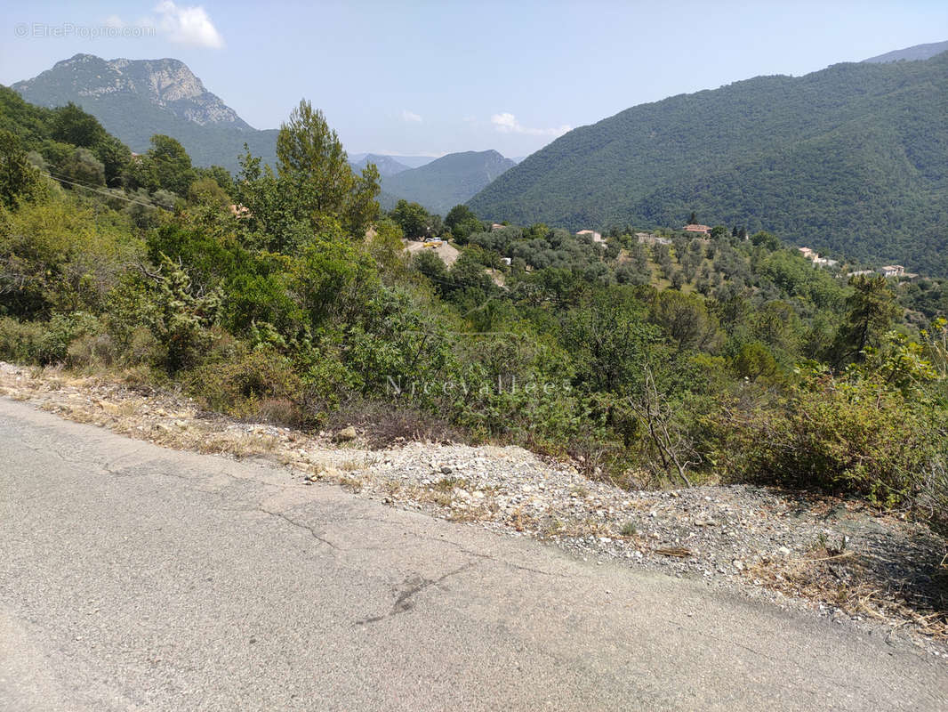 Terrain à PIERREFEU