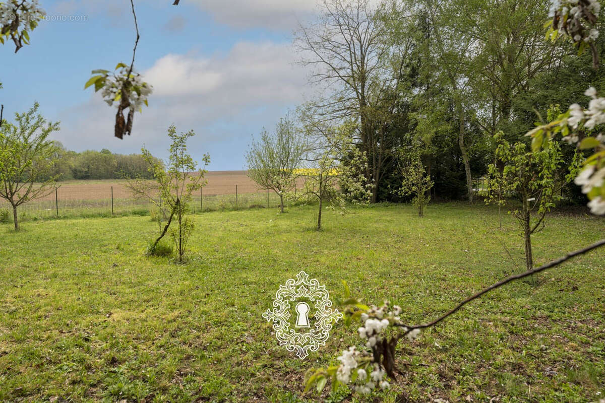 Maison à DONNEMARIE-DONTILLY