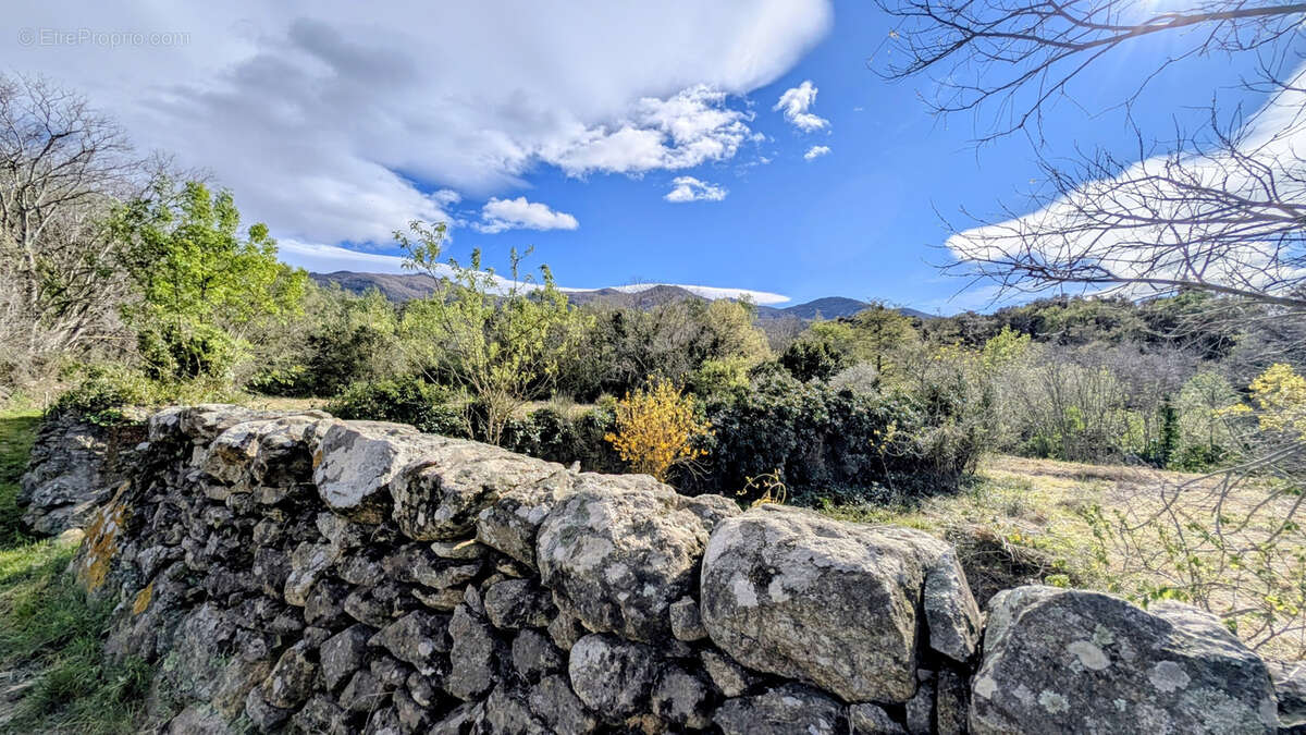 Terrain à VILLELONGUE-DELS-MONTS
