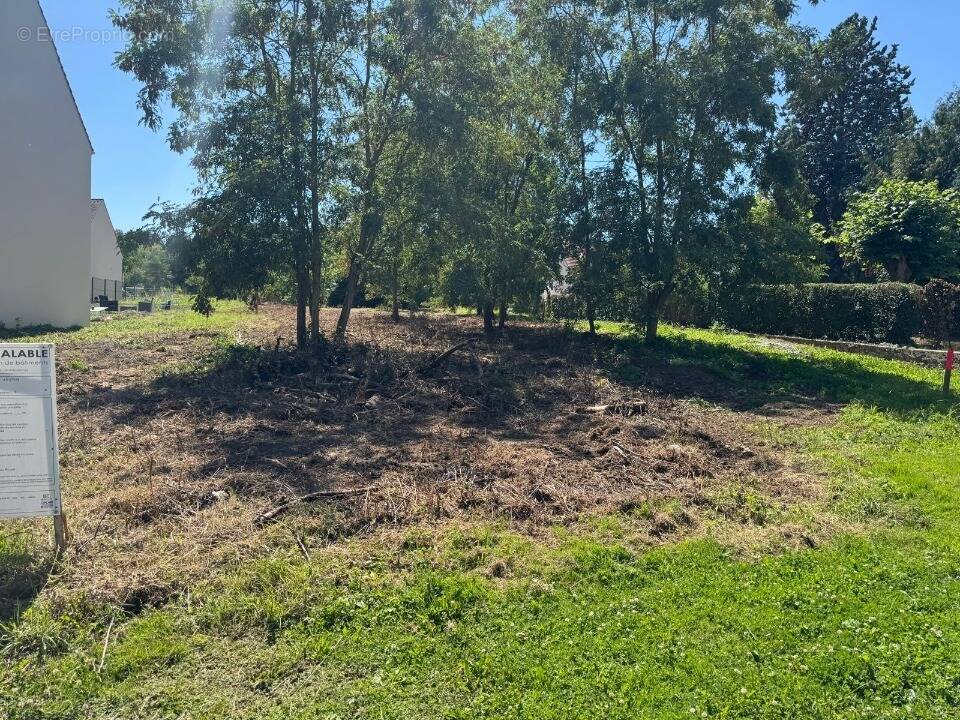 Terrain à CLAYE-SOUILLY