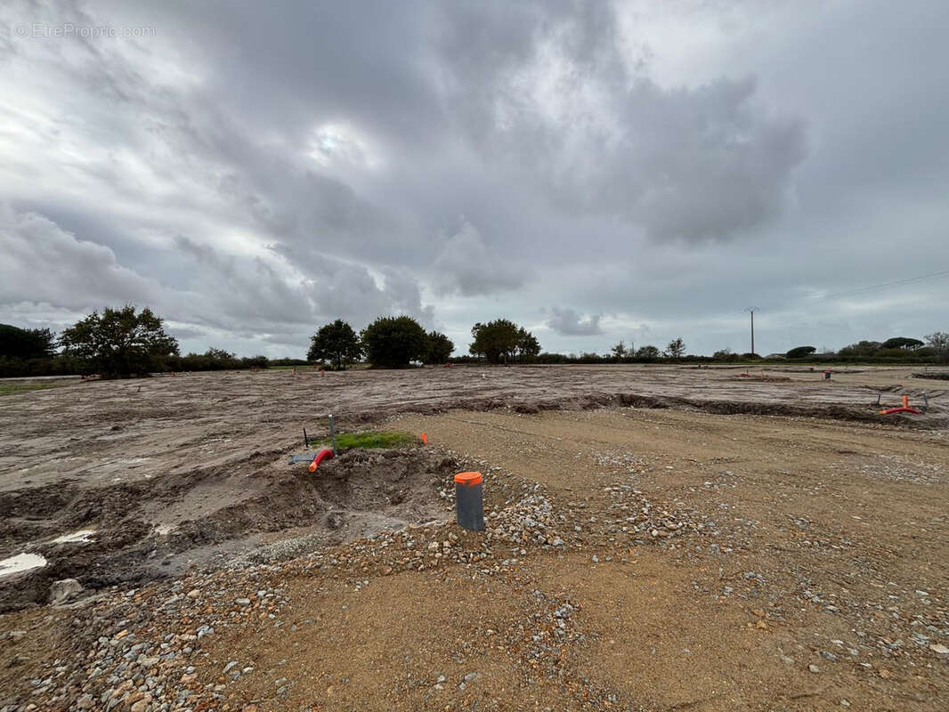 Terrain à SALLERTAINE