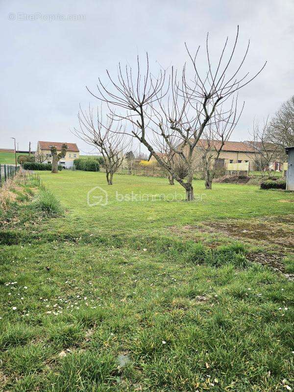 Terrain à SEICHEPREY