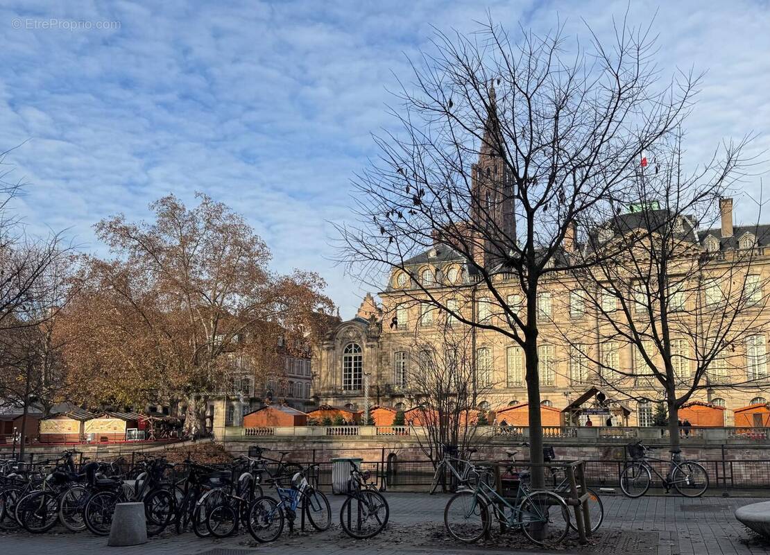 Commerce à STRASBOURG