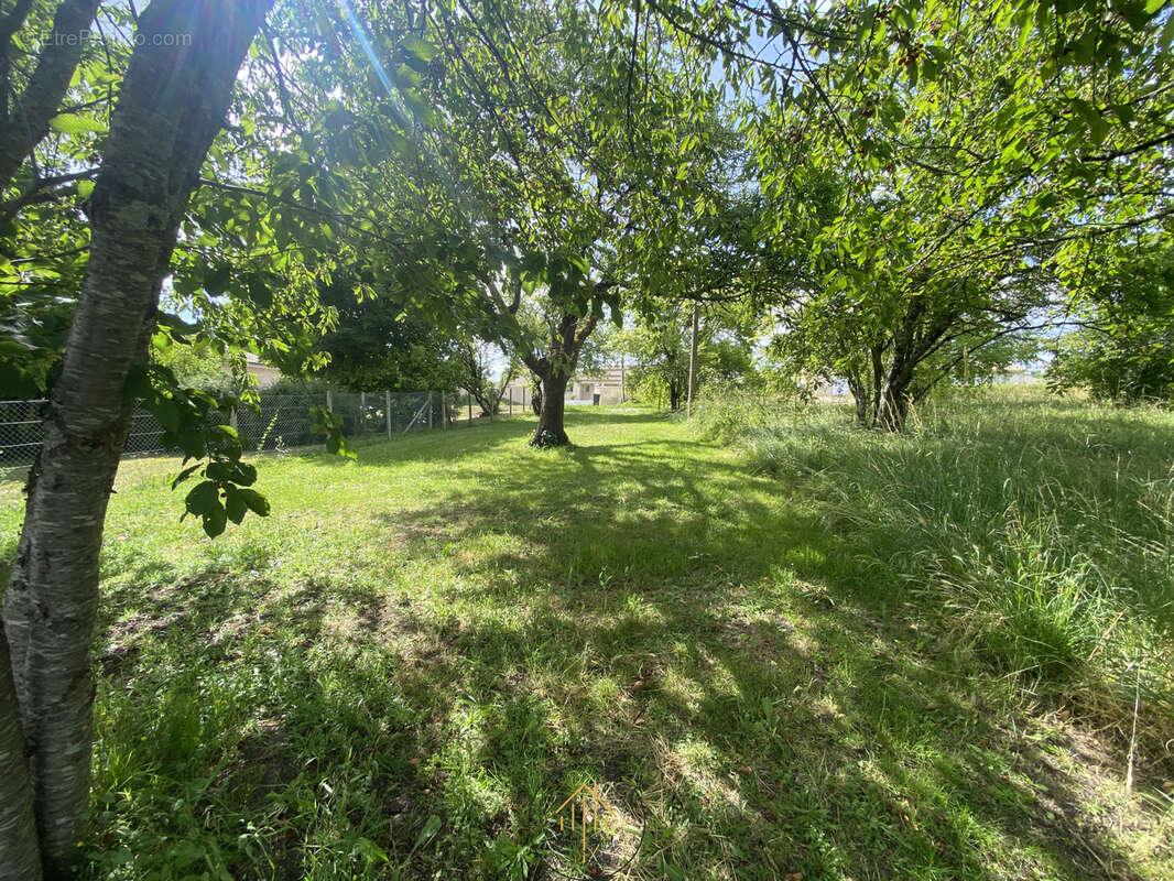 Terrain constructible de 2 500 m2 à Yviers   Une belle opportunité pour votre projet ! - photo 6