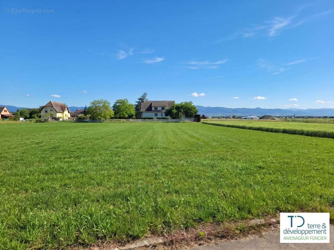 Terrain à NIEDERHERGHEIM