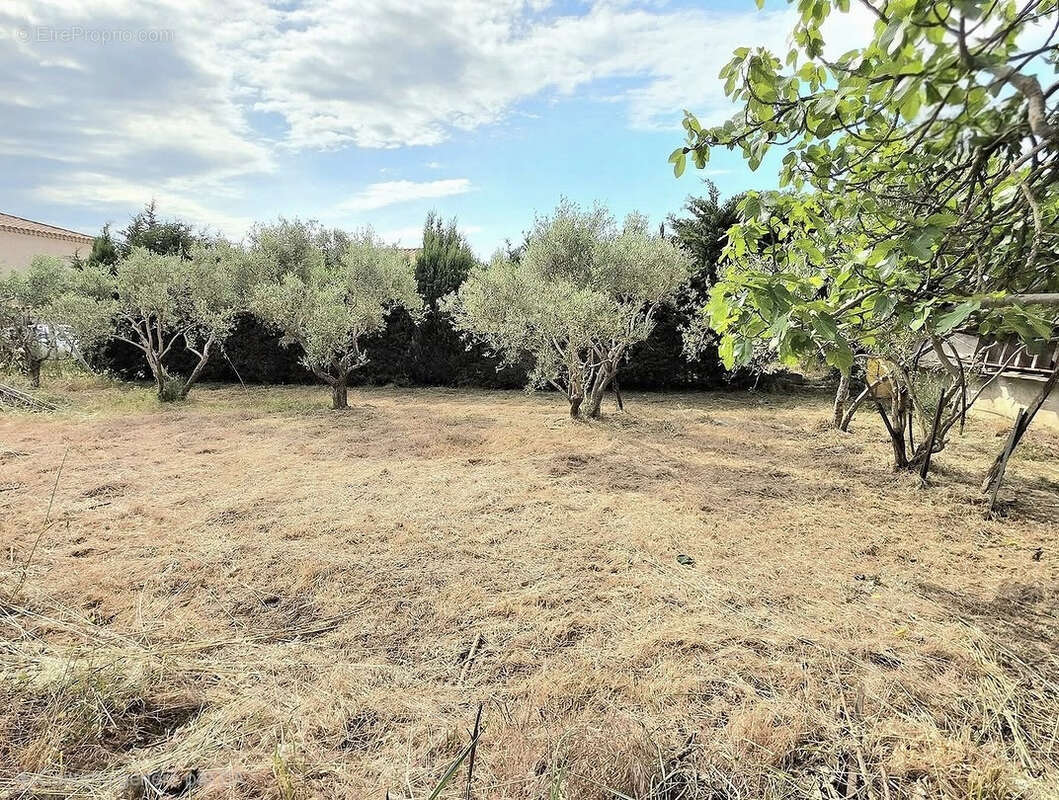 Terrain à BEAUCAIRE