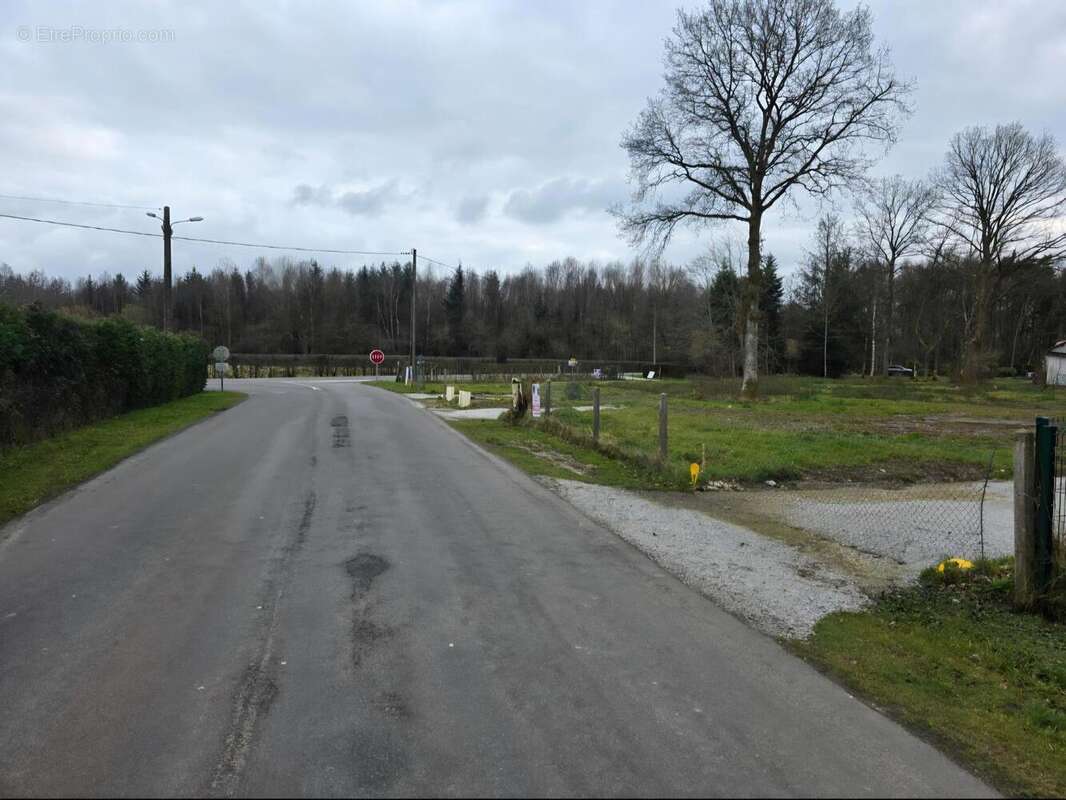 Photo 3 - Terrain à LA FERTE-FRENEL