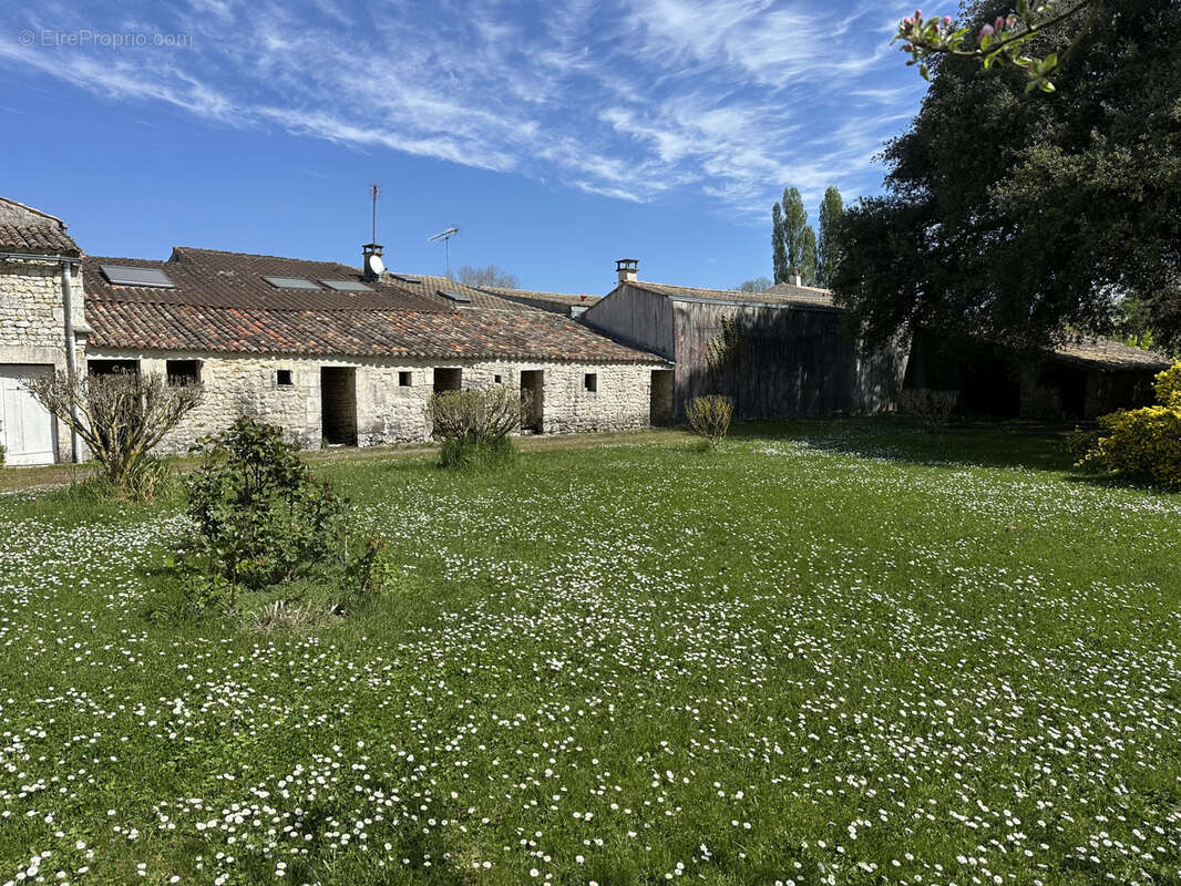 Maison à SAINT-ROMAIN-DE-BENET