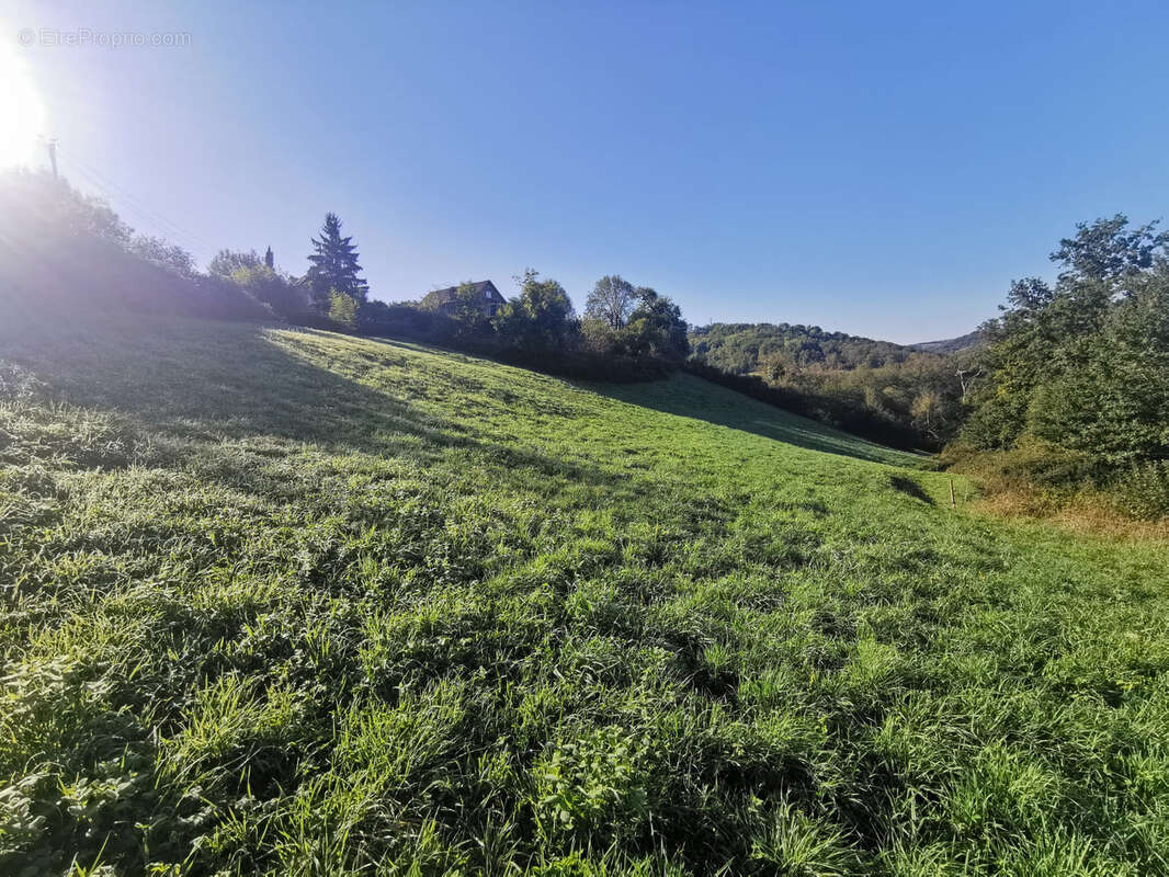 Terrain à CONQUES