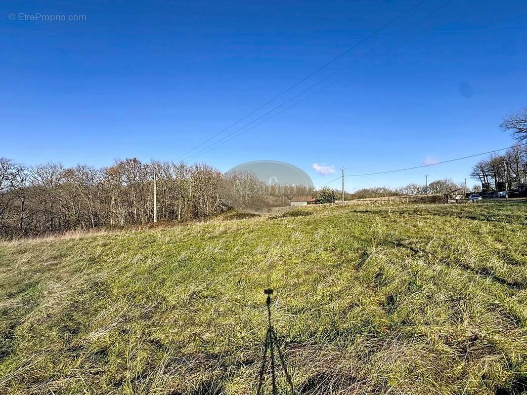 Terrain à VILLECOMTAL-SUR-ARROS