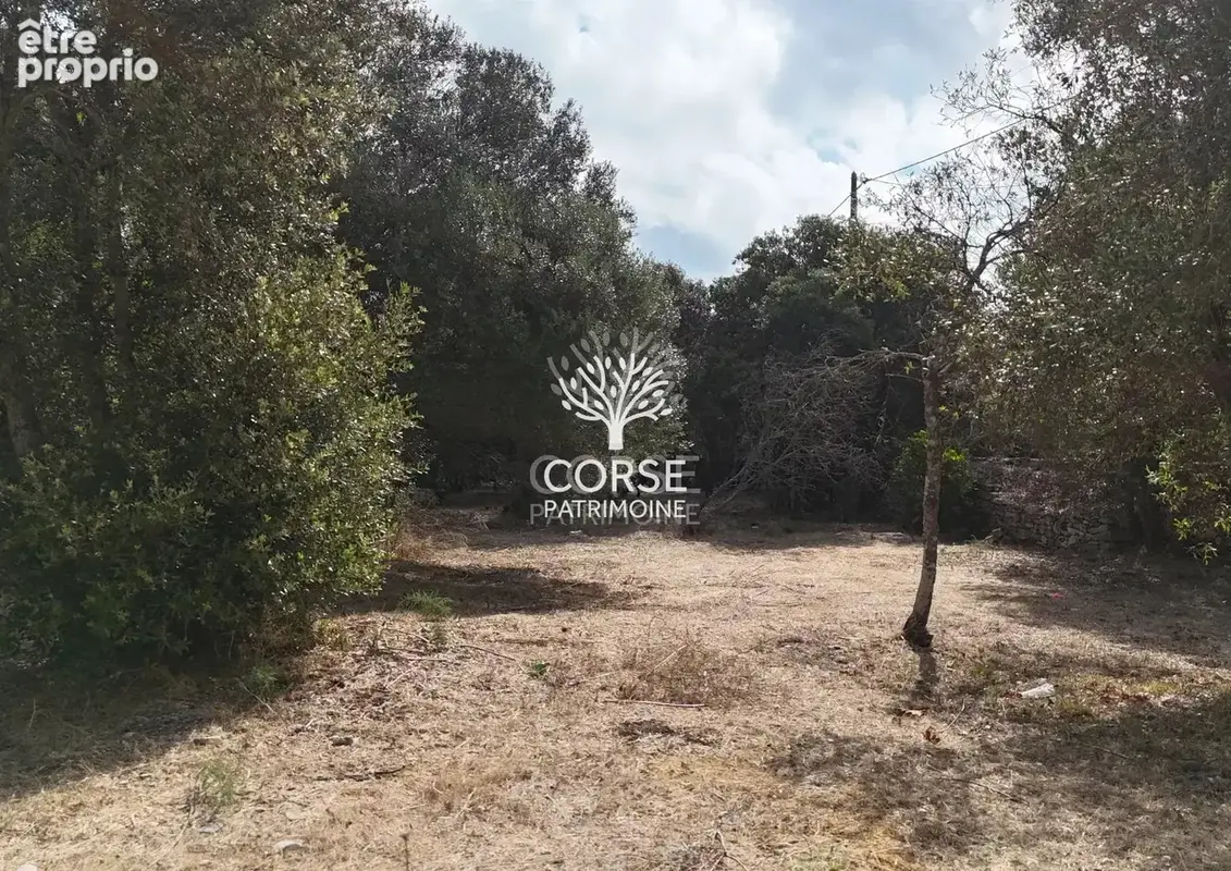 BIEN TRES RARE !!! Terrain constructible à BONIFACIO - photo 2