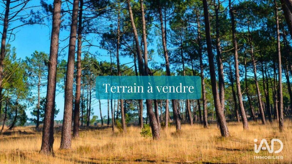 Photo 1 - Terrain à TOSSE